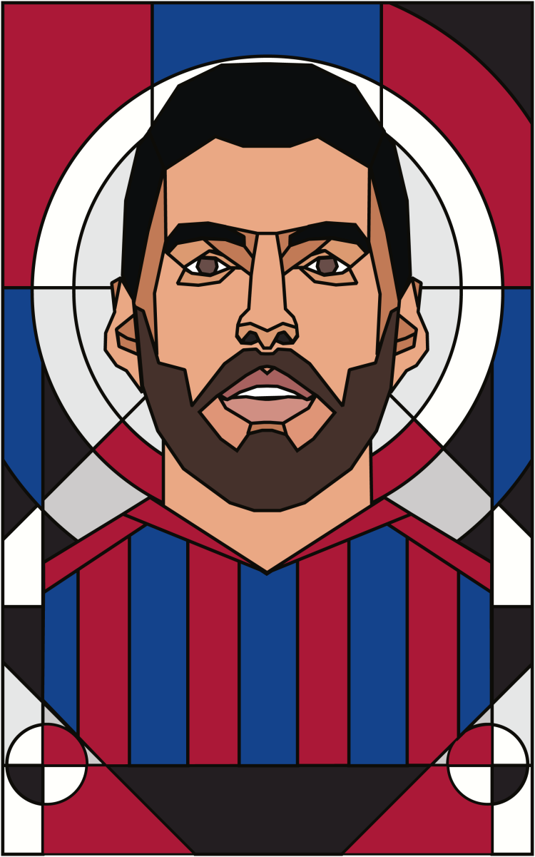 对马匹的掌 对马匹的掌